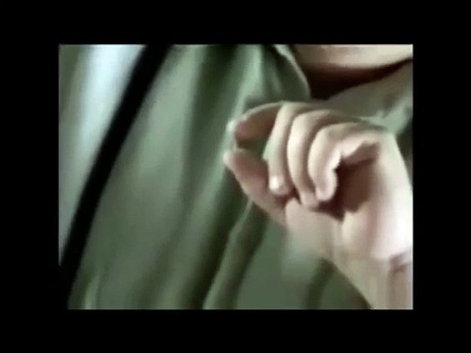 VeriCHIP Virtual Enslavement - Product Guide 2015