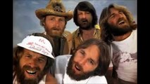 The Beach Boys - Hot Fun In The Summer Time / LIVE (Summer In Paradise)