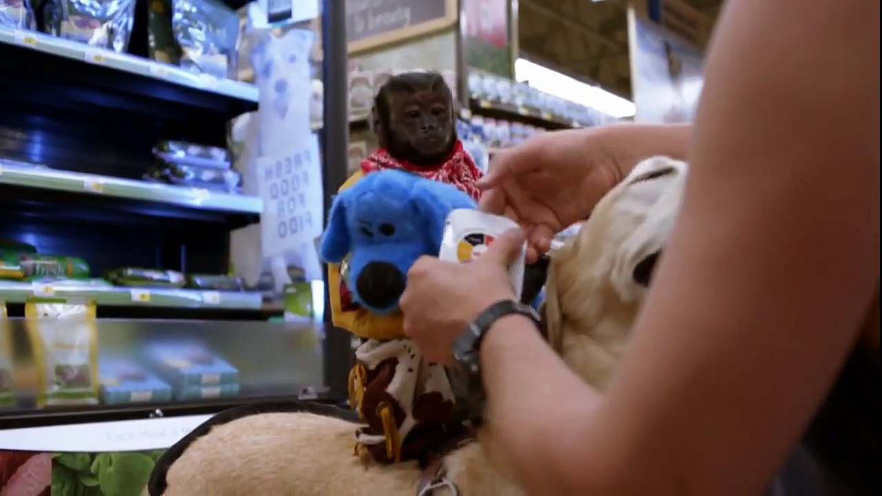 BEHIND THE SCENES with NBC's ANIMAL PRACTICE! Meet Animal Trainer Tom Gunderson