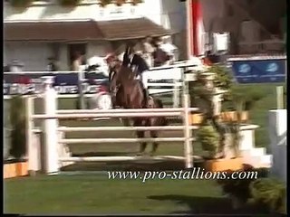 Show Jumping ft music by Fort Minor (FINAL VERSION)