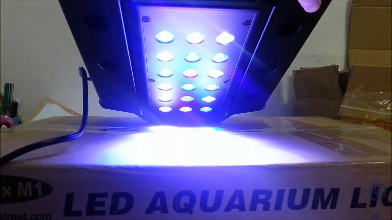 Coral Box M1 LED Lighting