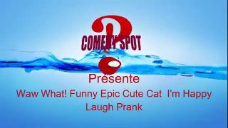 Best of Comedy : Waw What! Funny Epic Cute Cat I'm Scared Laugh Prank