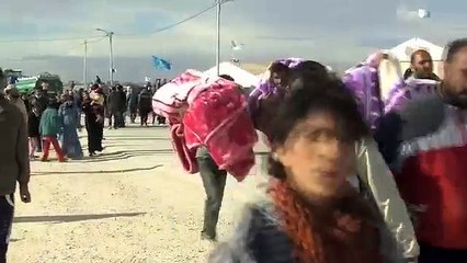 تقرير: التحرش الجنسي في الزعتري