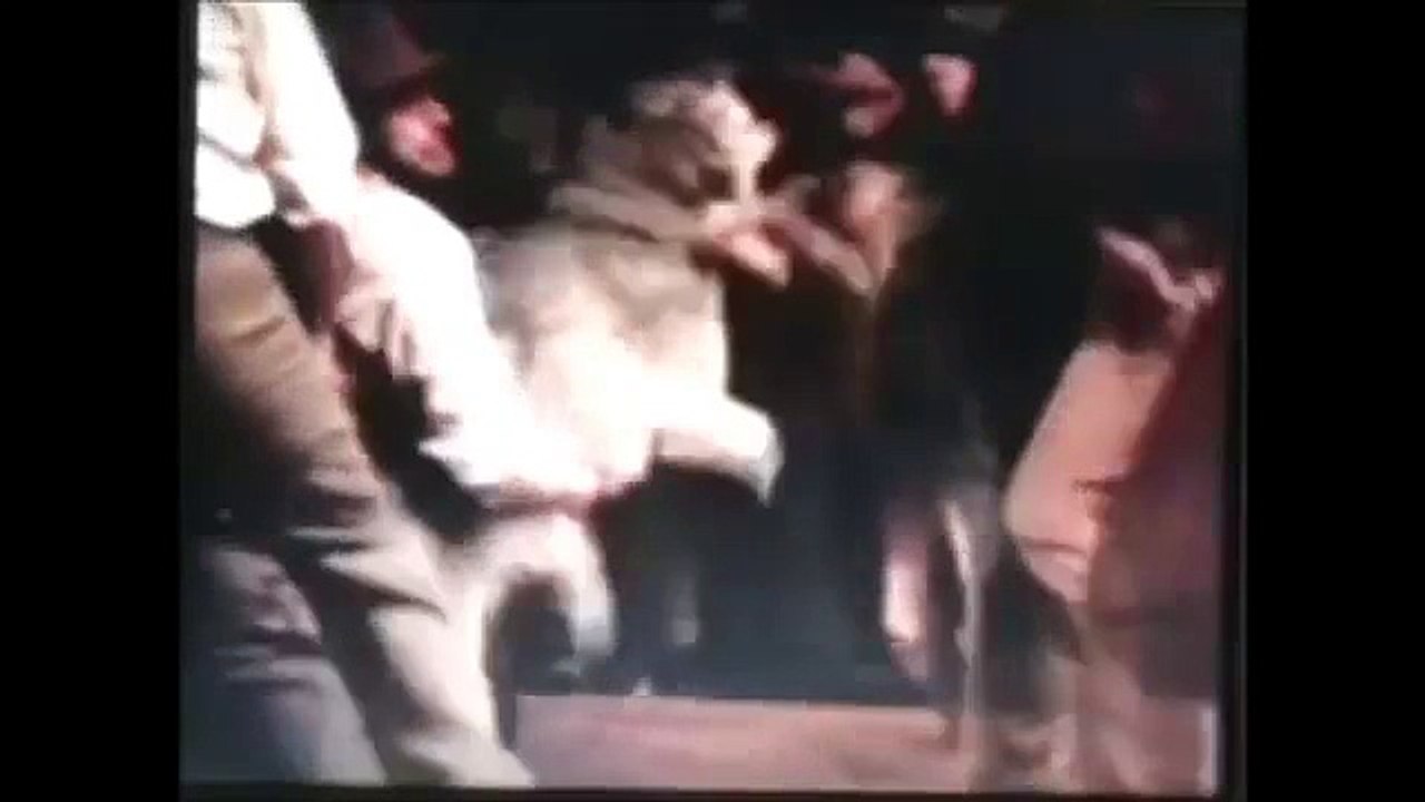 Jed The Wolf Dog