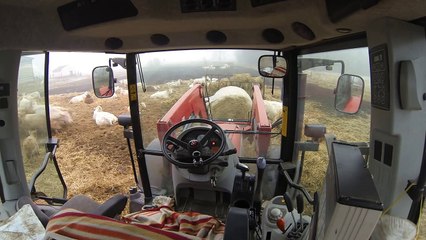 GoPro Hero3 Black Edition Test - Kühe füttern