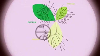 The Synthetic Kingdom: Discover the Future of Artificial Intelligence 🌐