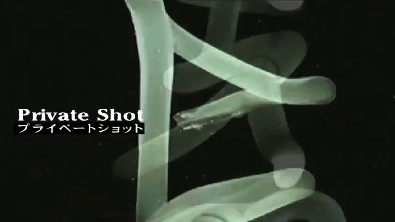 AKB めちゃ×2イケてるッ！ 爆裂お父さんFNS27時間テレビ
