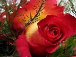 ARMIK  - ROMANTIC ESCAPE