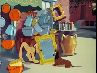 Mickey Mouse Pluto Canine Casanova