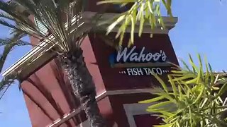 Wahoo's Fish taco's commercial 2007