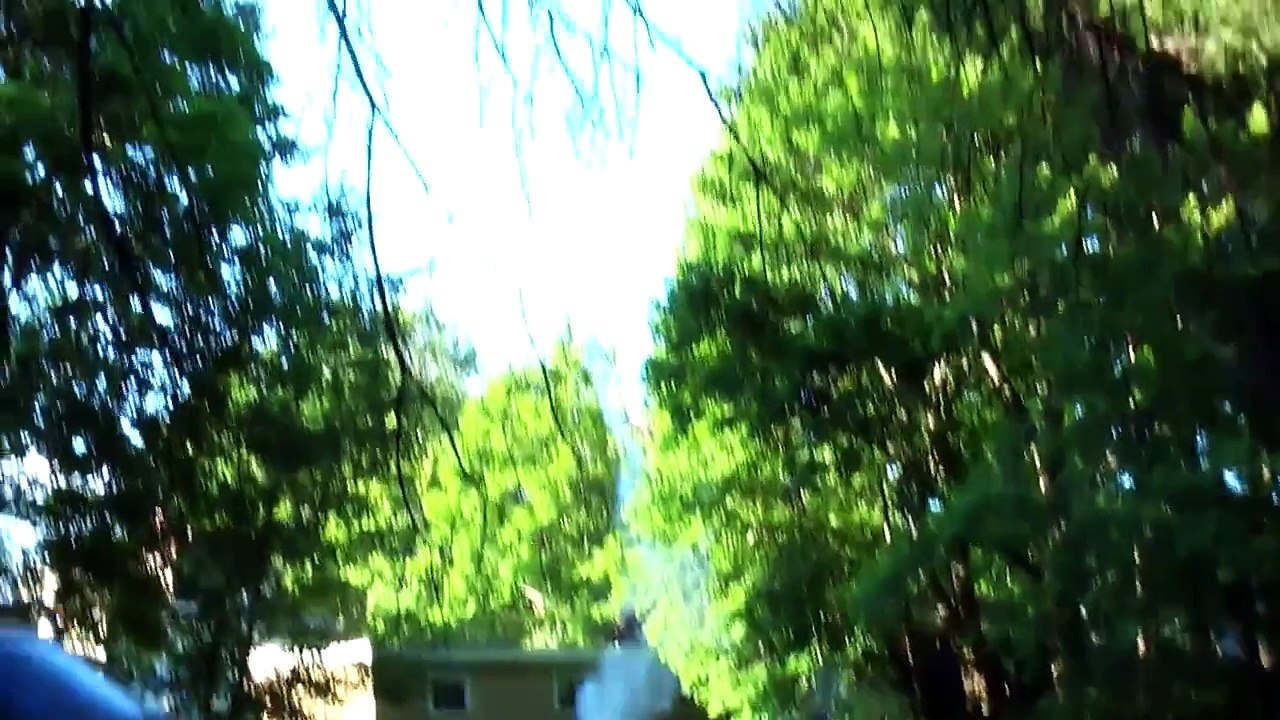 4th Of July Firework Fun!