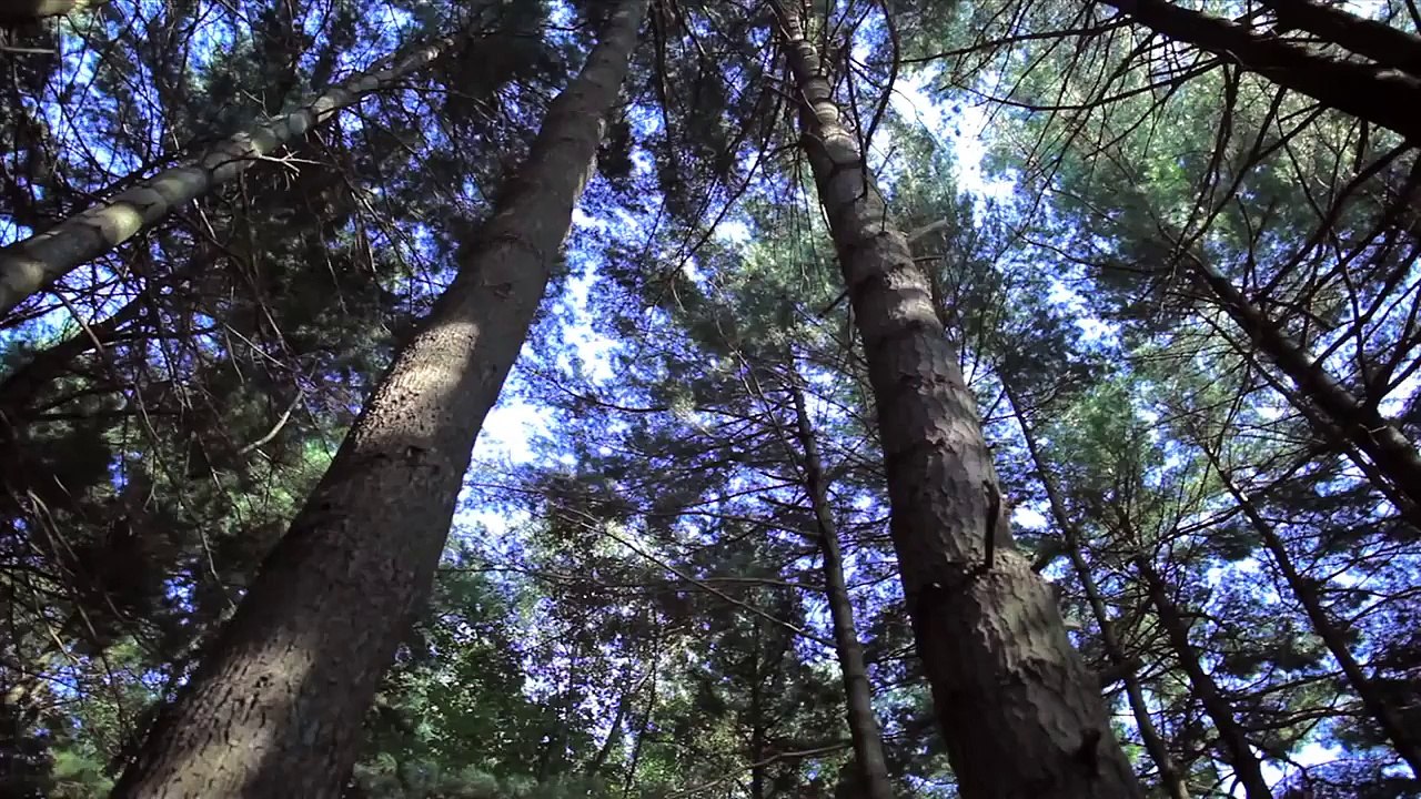 Camping des Voltigeurs - Sépaq