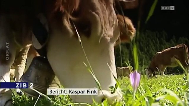 Schweizer Franken - Mindestkurs aufgehoben - Schweizerische Nationalbank - Wechselkurse - ORF ZIB 2