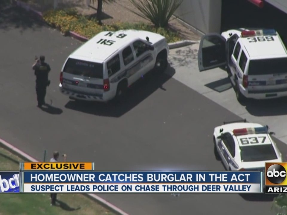 Homeowner catches burglar in the act