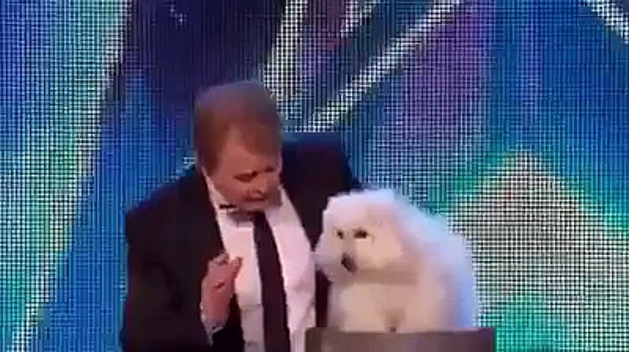 Are you believe Dog can Speak English, Dog spea...