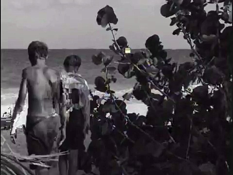 Lord of the Flies - Invasion (JackxRalph)