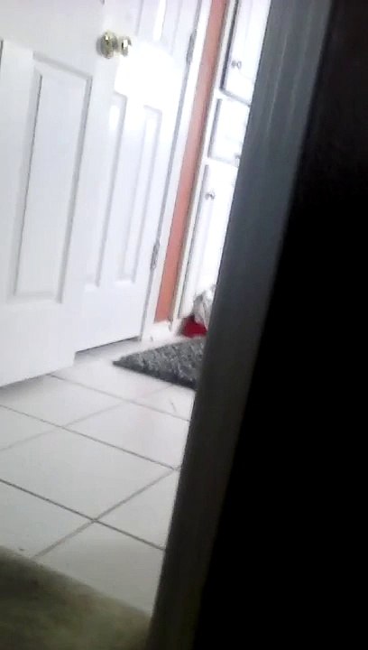 Replace teen titans go with oggy and the cockroach