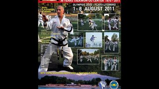 Taekwon-do I.T.F 15th Summer Camp 2011, Self Defense and Ground Street Fight, Master Alexandris