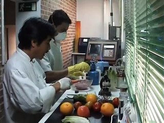 Seres de Ultrafruta (primera parte de dos)