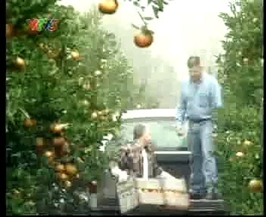 05 26 10 MINUTE MAID TEPPY Fruit Juice MINUTE MAID TEPPY Orange Juice WHERE IS THE PULP 15s