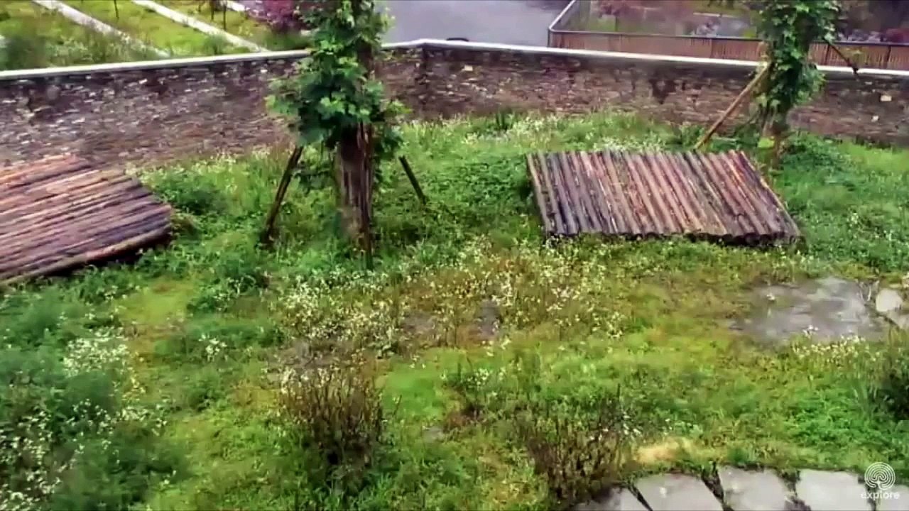 150809 Ao Ao Up One Then Another (大熊猫傲傲)