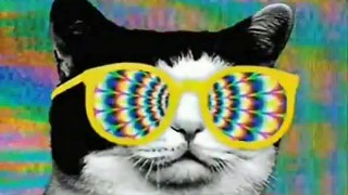 Happy Birthday, Trance Style! #1   Funny Cats