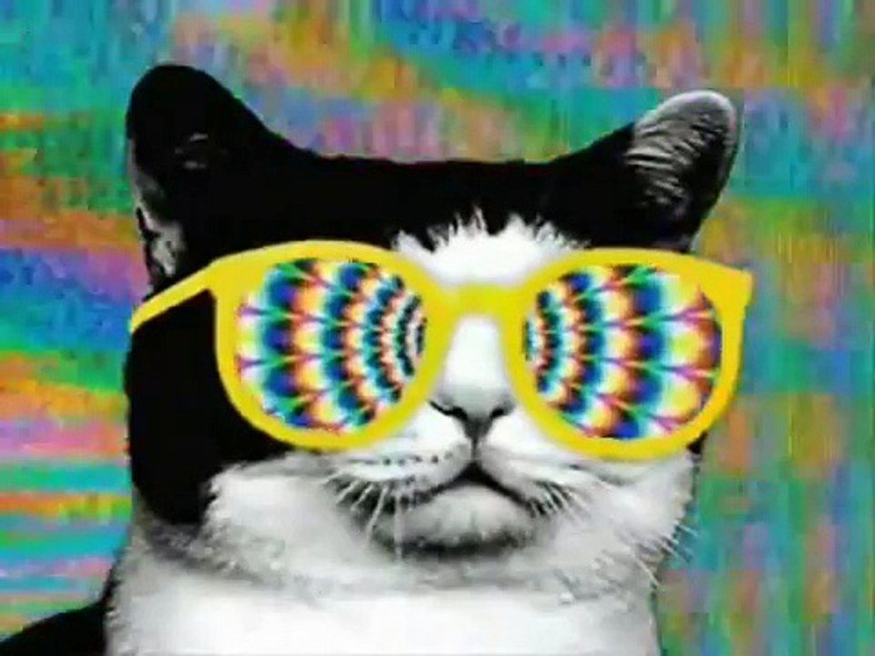 Happy Birthday, Trance Style! #1   Funny Cats