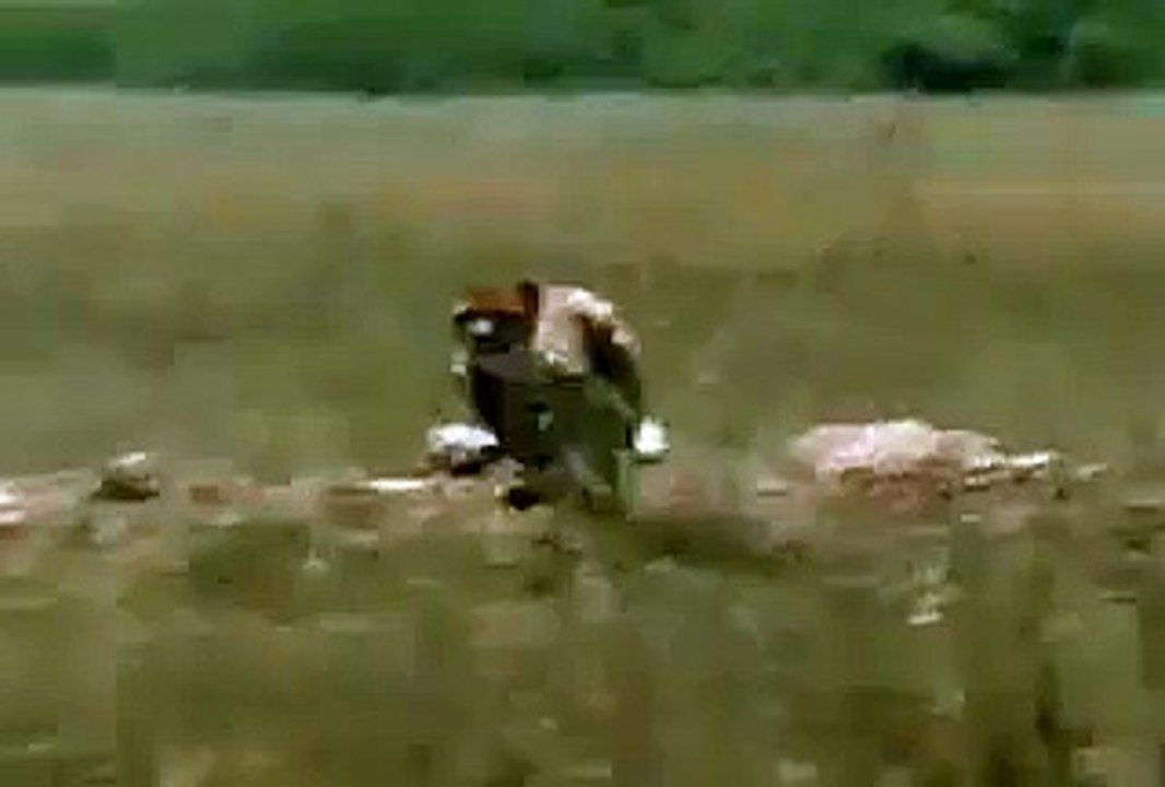 lol