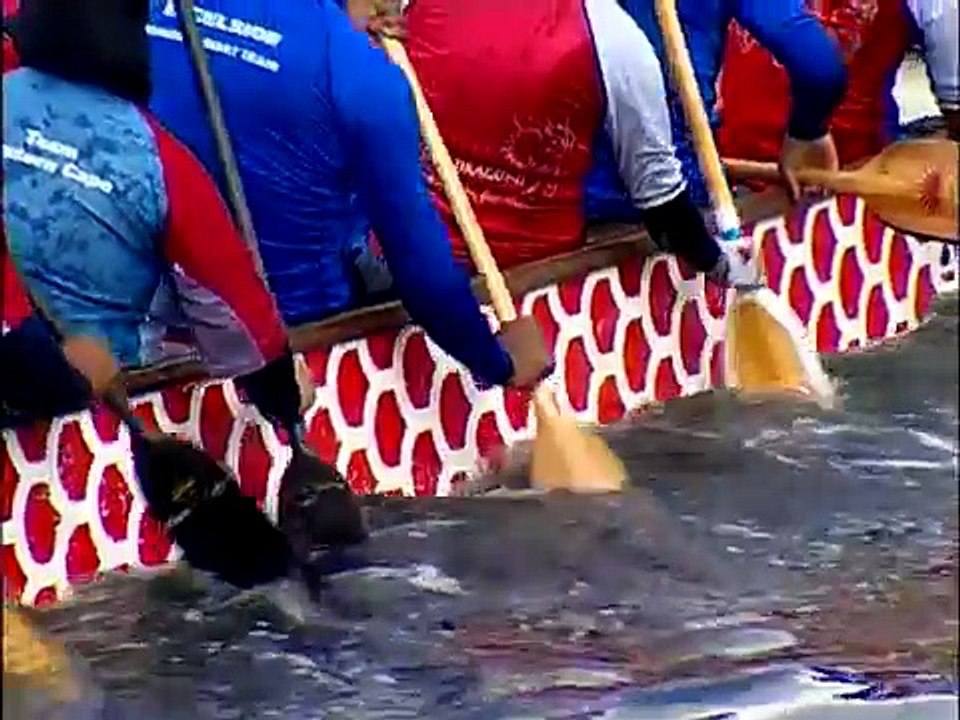 Dragon Boat Racing in Cape Town, South Africa