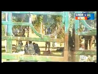 Sindhtv News Documentary Jahangir Park Part - 01