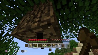 Minecraft: PlayStation®4 Edition_20150912103846