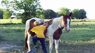 great kids horse ridin by Houston delaCruz