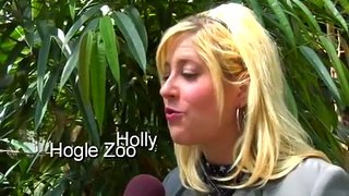 Hogle Zoo Madagascar Exhibit