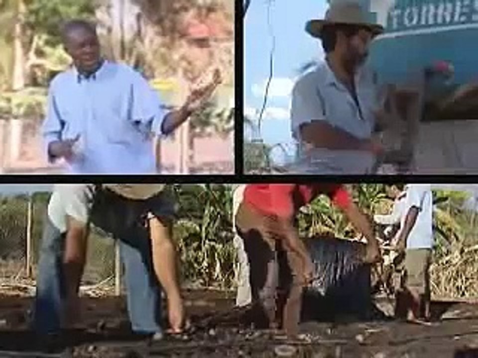 PAIS - Fase 5 - Instalação de Irrigação