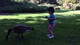 Baby and Goose