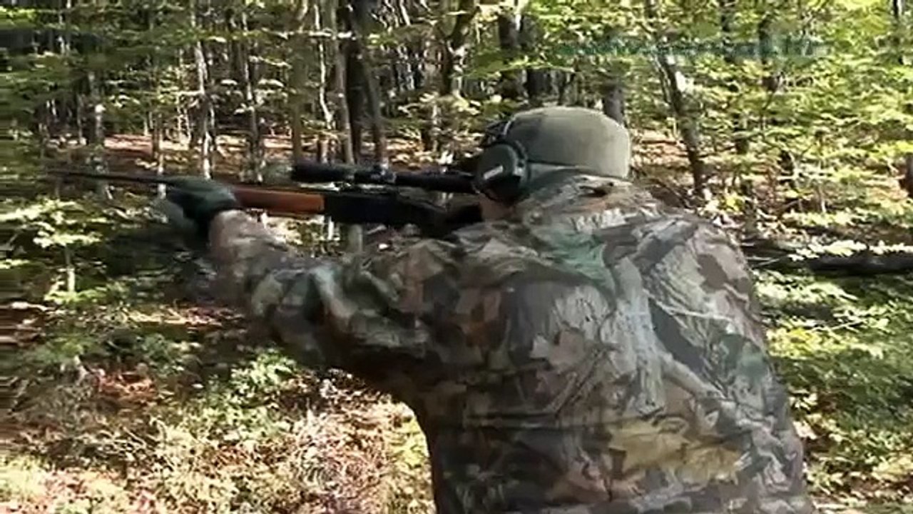 Bulgarian Wild Boar Hunting