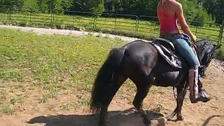 Bucking Pony (killer) the full story