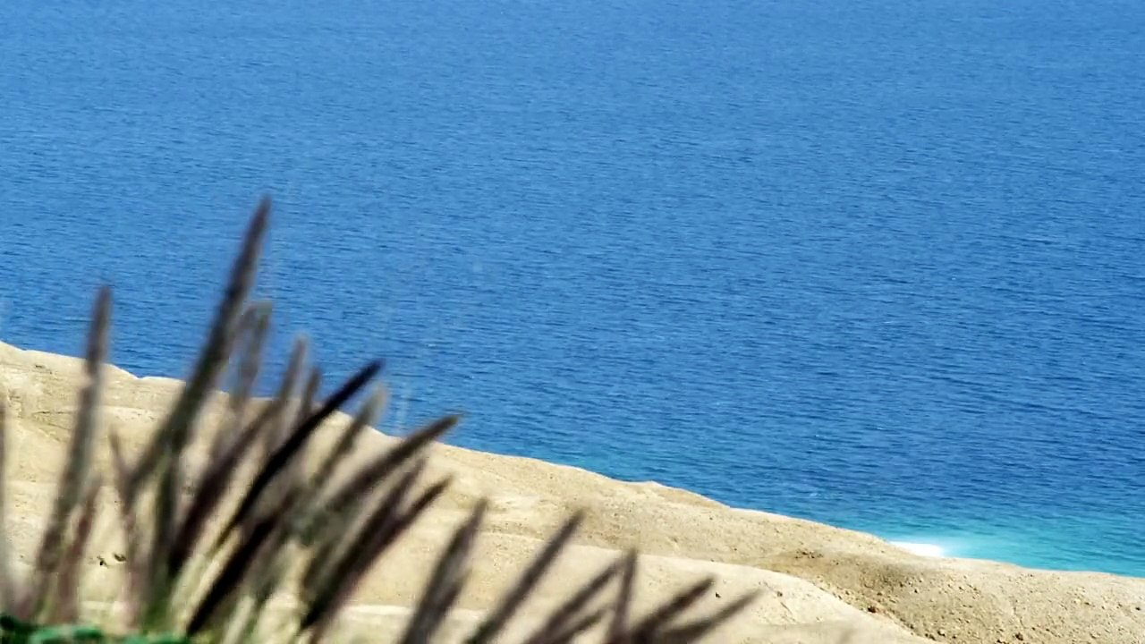 Serene Beach 15