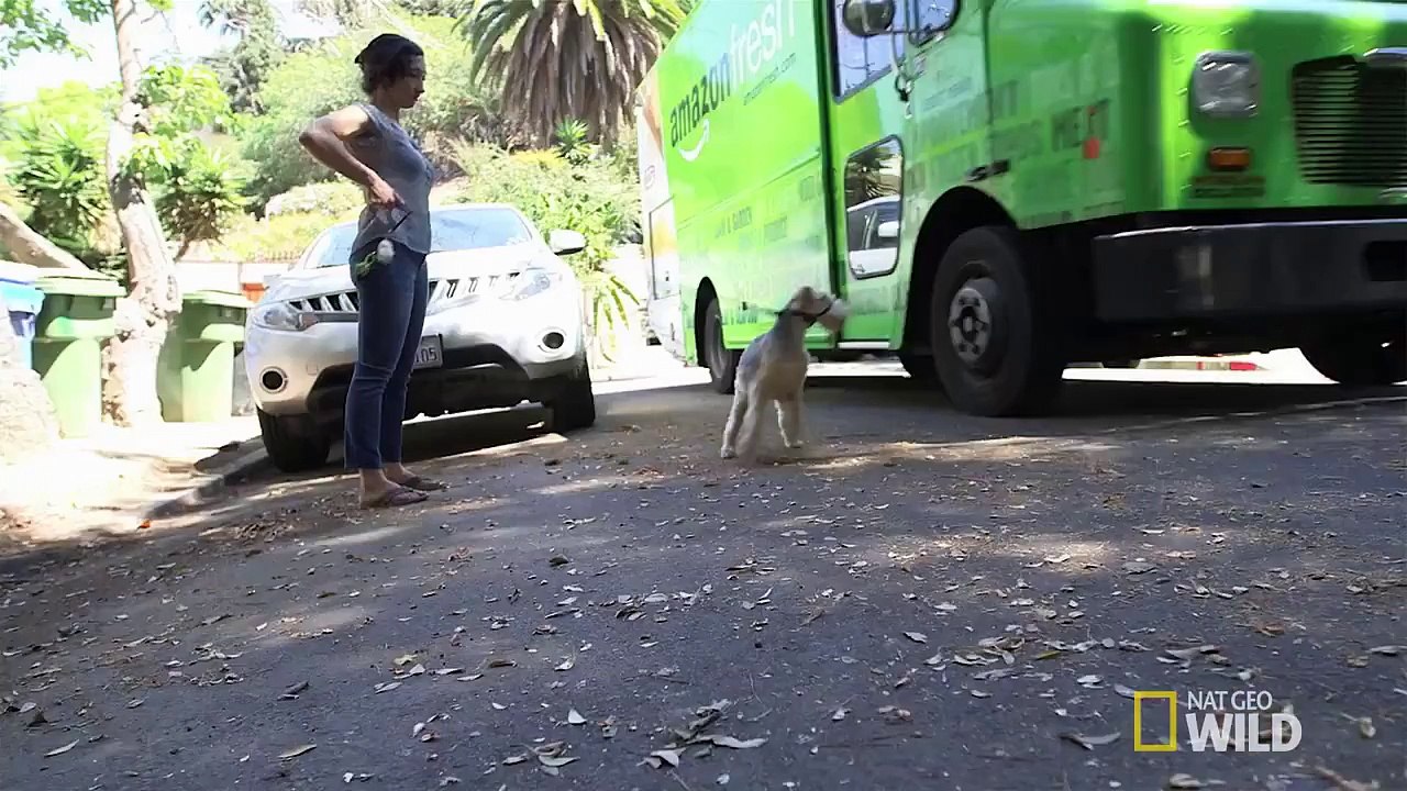 Cesar 911 S2 Episode 7 Follow-Up: Caper