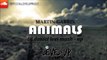 Martin Garrix   Animals DJdaniel levi mash up)