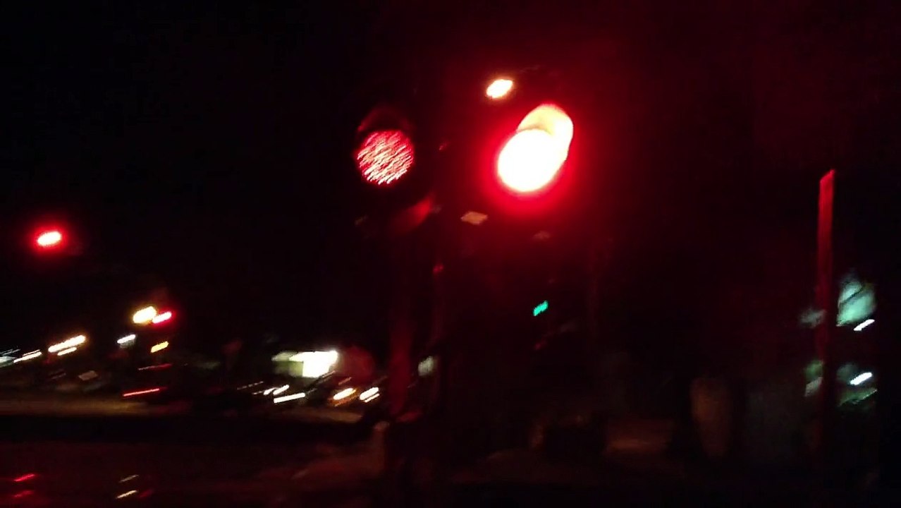 Royal Oaks Dr Railroad Crossings and Royal Oaks Light Rail Station