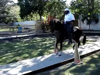 Timbalero la rosa en tabla con yamil cruz