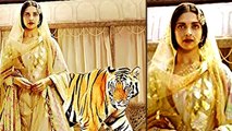 Deepika Padukone Shoots With Tigers For 'Bajirao Mastani