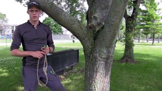 U-SLING Tree Climbing Tool