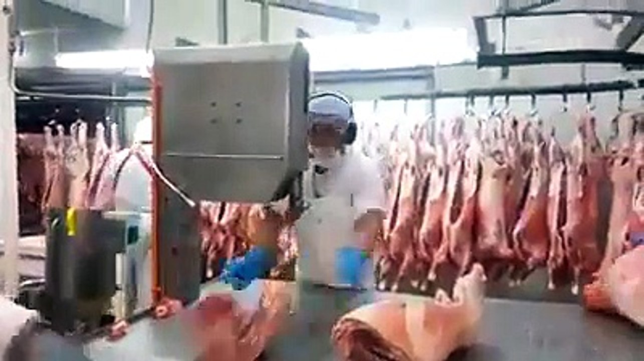 گوشت کاٹنا اب اتنا آسان ہو گا۔ ویڈیو دیکھیں