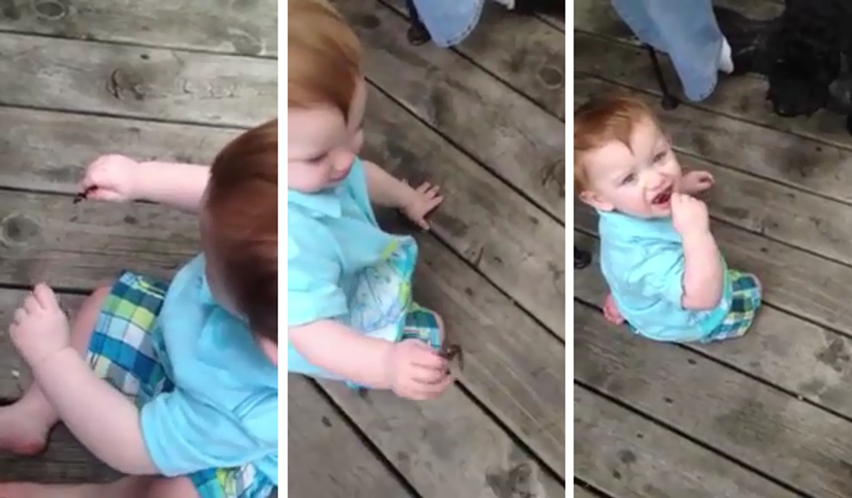 Baby Kills And Eats Butterfly