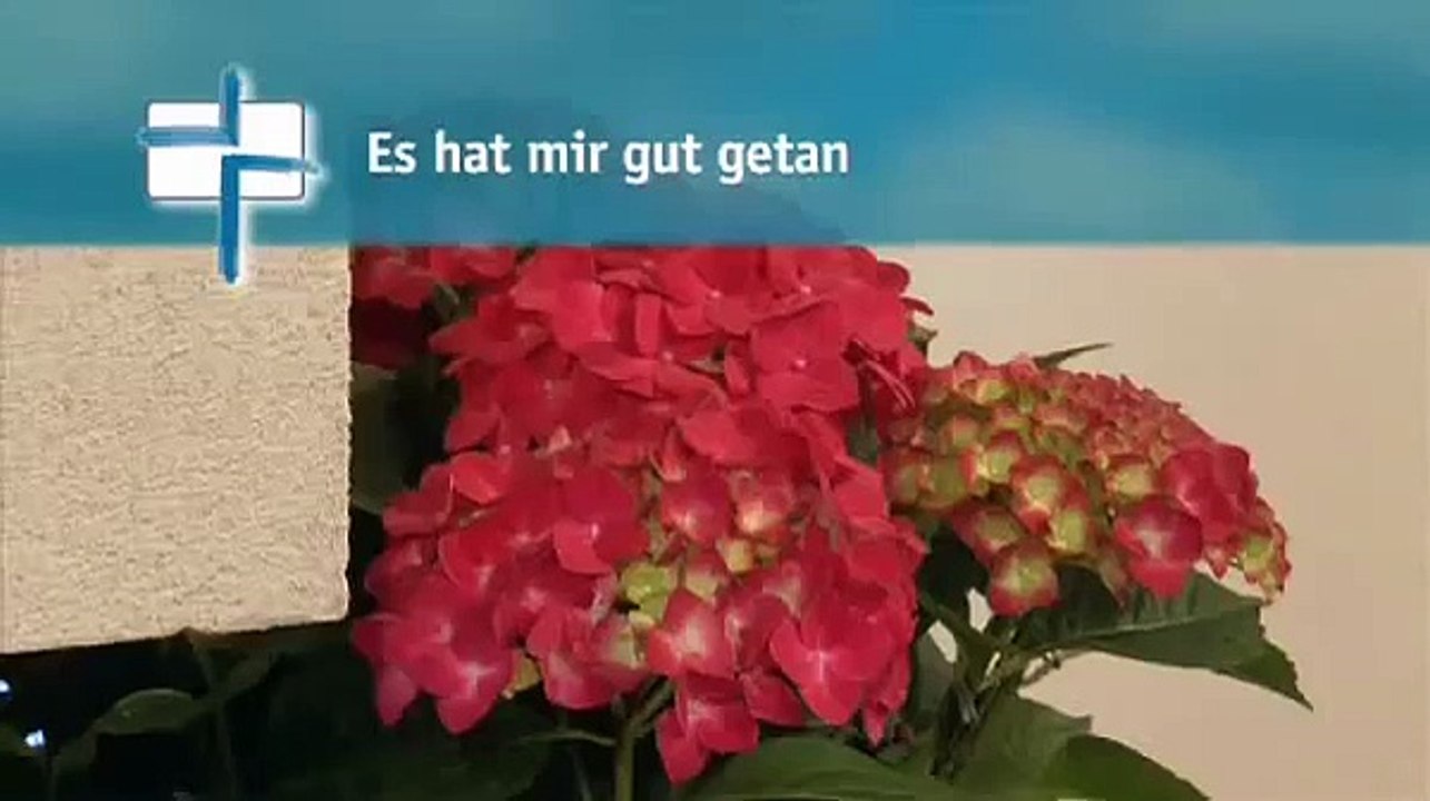 Heiko Bräuning - Es hat mir gut getan.flv