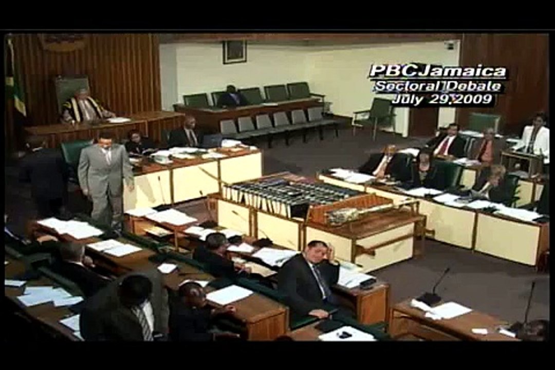 Lisa Hanna Parliament  speech pt.1 0f 4 july 2009
