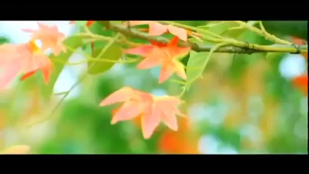 Ashkan & Kooshan - Dooset Daram Dooset Daram