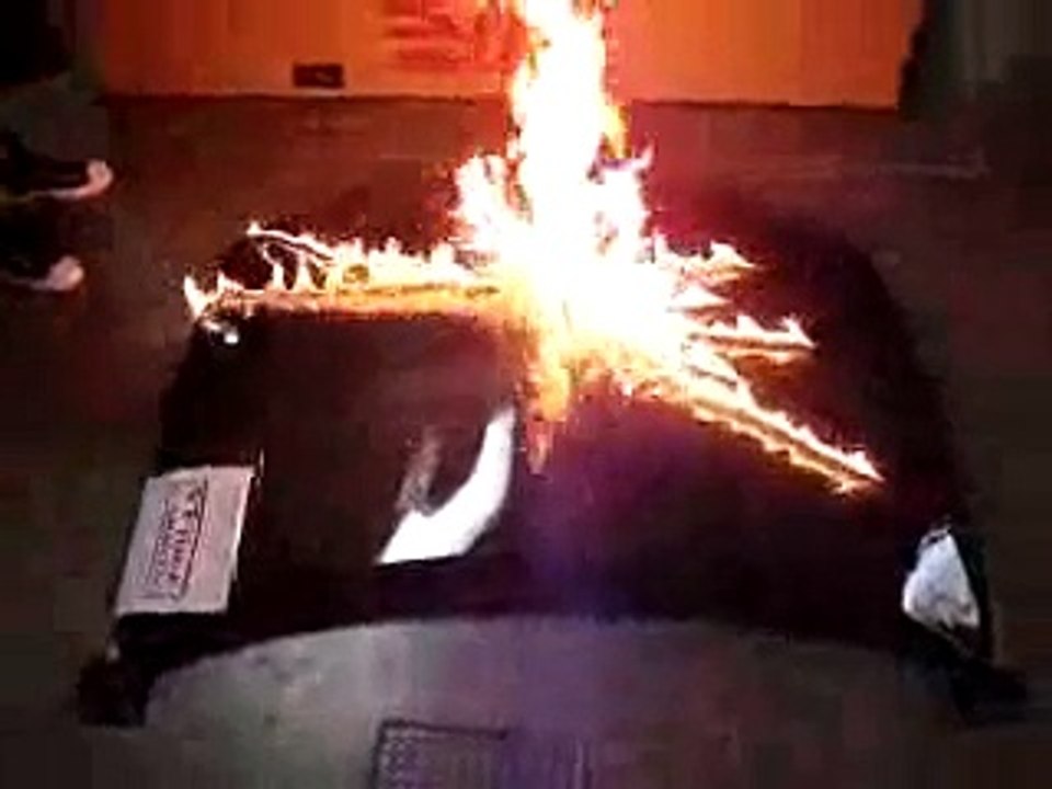 Vfiber carbon fiber hood demo